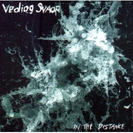 Vediog Svaor - "In The Distance"