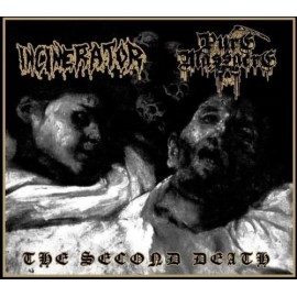 Incinerator / Pure Massacre - The Second Death
